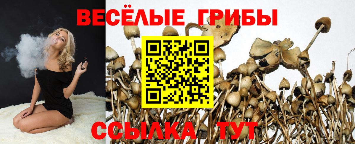 Сарапул  Псилоцибиновые грибы Magic Shrooms  Вход с VPN 