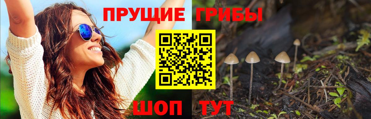 Галлюциногенные грибы прущие грибы Сарапул